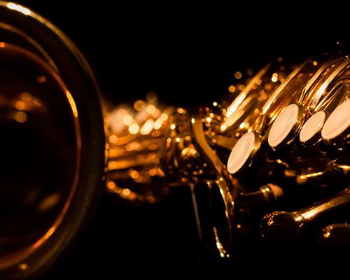 Selmer markVI alto saxophone laid on its side.